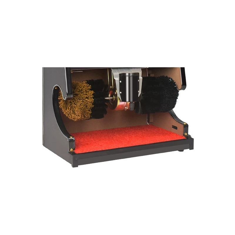 220V 100W Electric Shoes Clean - Shoe Cleaner 评论和价格